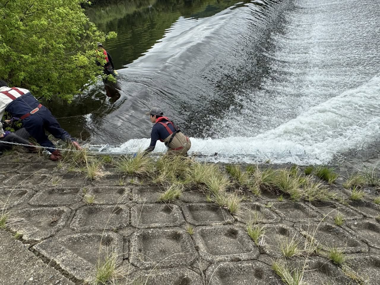 簡易魚道の設置