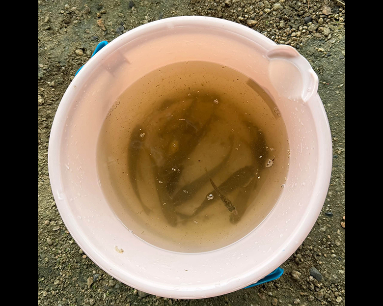 「ハゼ釣りにチャレンジ」に講師として参加